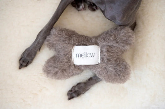Juguete Ecológico Hueso para Perros de Lana Natural - Beige - Dulces Mascotas BCN