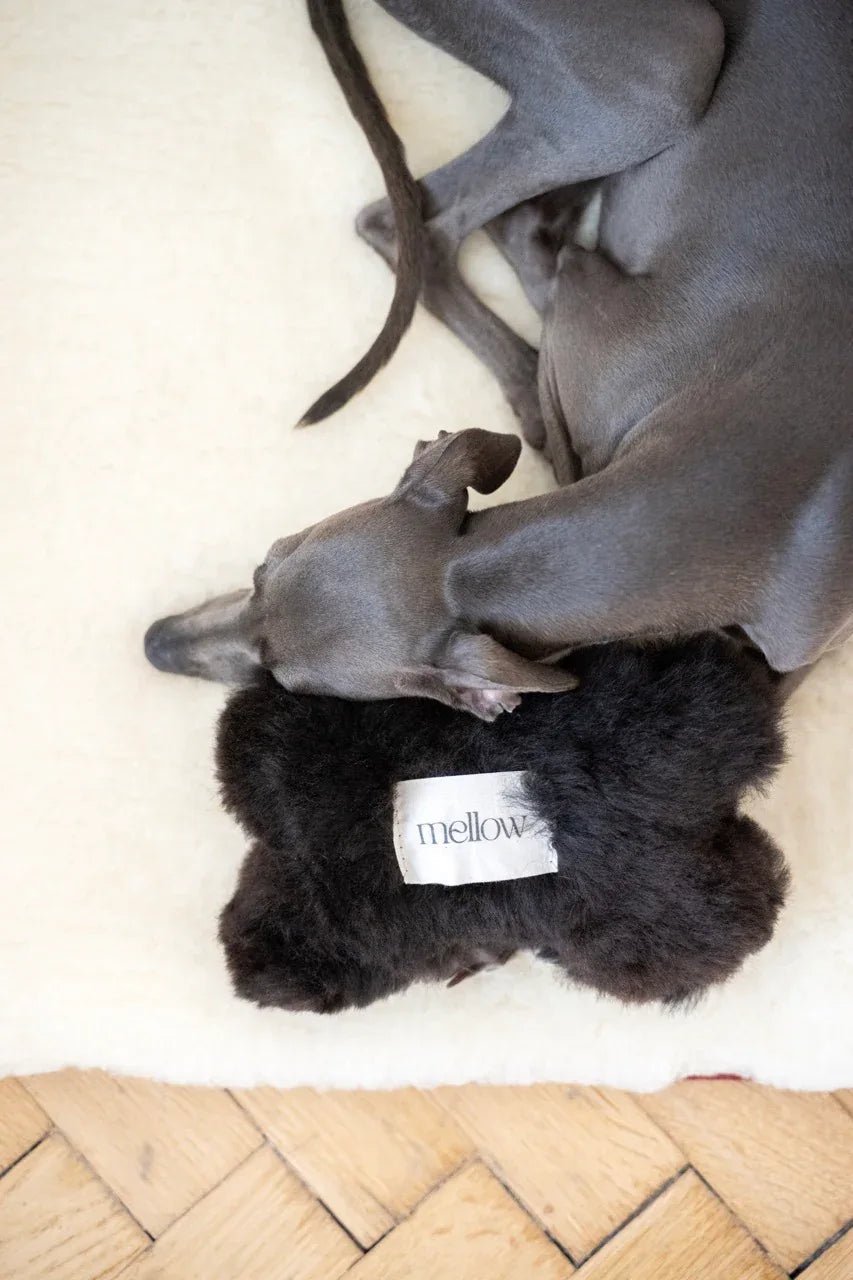 Juguete Ecológico Hueso para Perros de Piel de Oveja Natural - Dulces Mascotas BCN