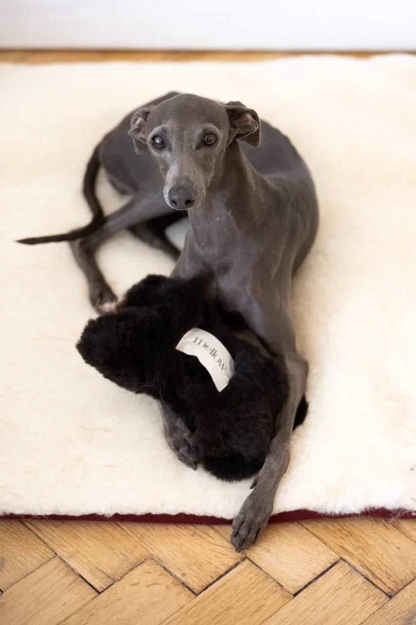 Juguete Ecológico Hueso para Perros de Piel de Oveja Natural - Dulces Mascotas BCN
