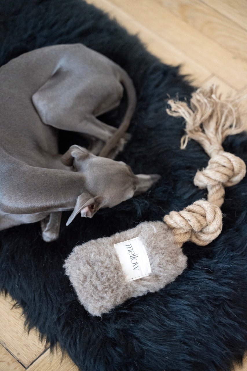 Juguete Ecológico Resistente de Lana y Yute para Perros Activos - Dulces Mascotas BCN