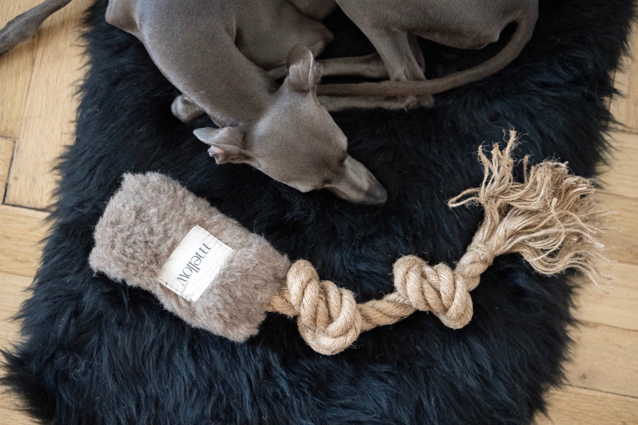 Juguete Ecológico Resistente de Lana y Yute para Perros Activos - Dulces Mascotas BCN