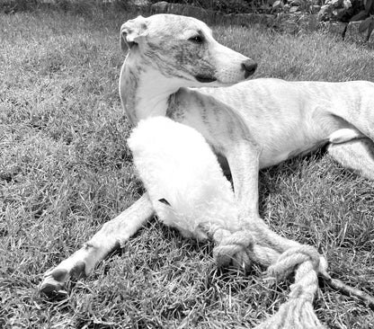 Juguete Ecológico Resistente de Lana y Yute para Perros Activos - Dulces Mascotas BCN