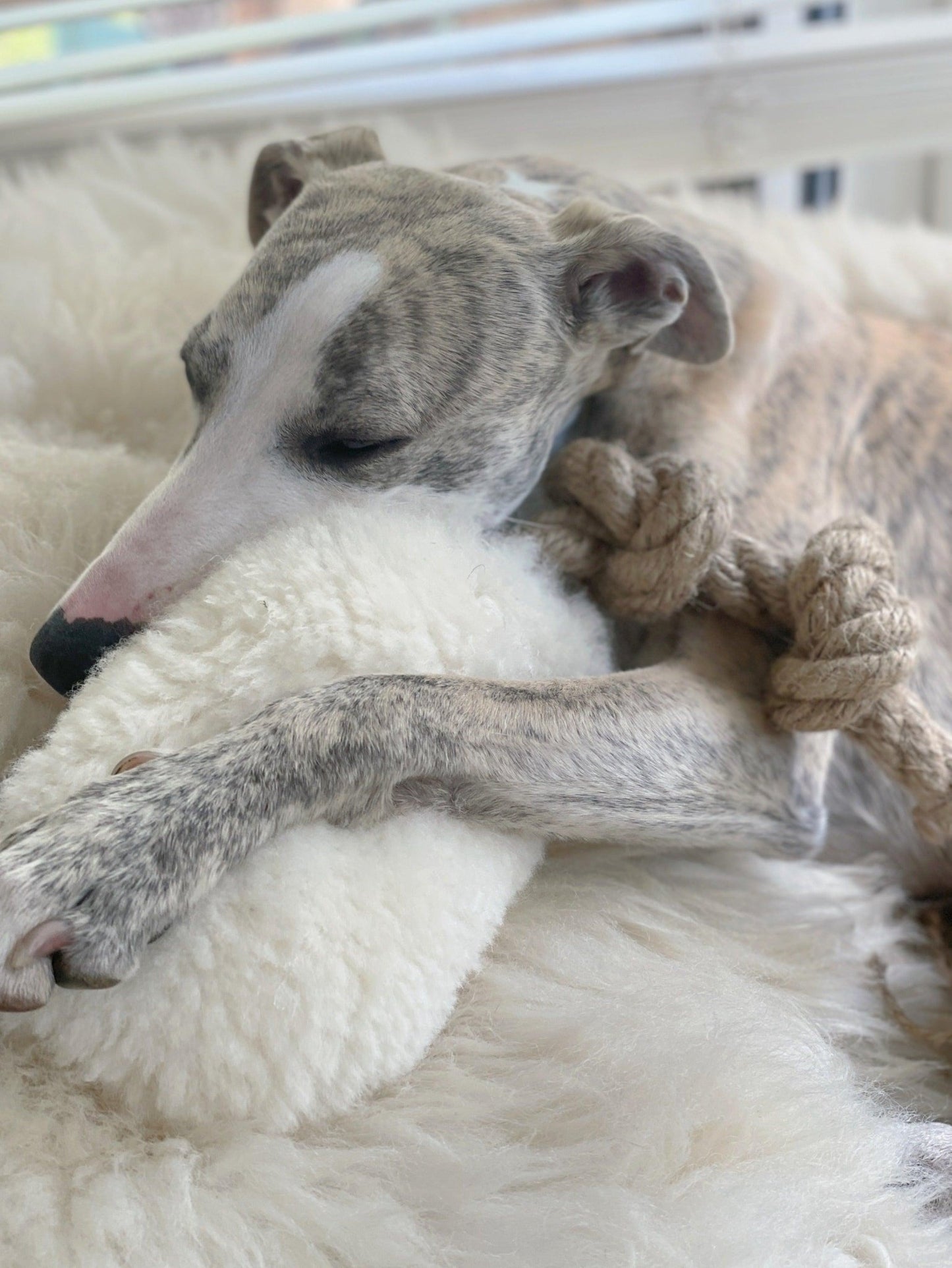 Juguete Ecológico Resistente de Lana y Yute para Perros Activos - Dulces Mascotas BCN