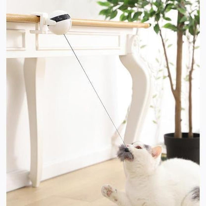 Juguete Interactivo Yo - Yo para Gatos - Dulces Mascotas BCN