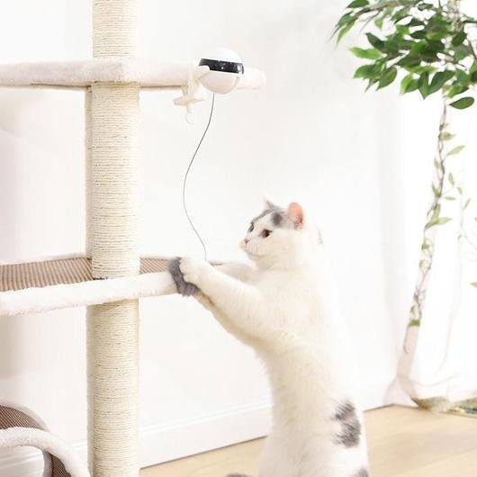 Juguete Interactivo Yo - Yo para Gatos - Dulces Mascotas BCN