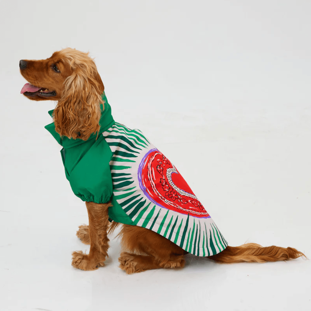 LoveShield Regenjacke - Dulces Mascotas BCN