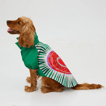 LoveShield Regenjacke - Dulces Mascotas BCN