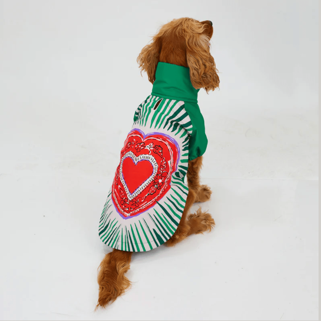 LoveShield Regenjacke - Dulces Mascotas BCN