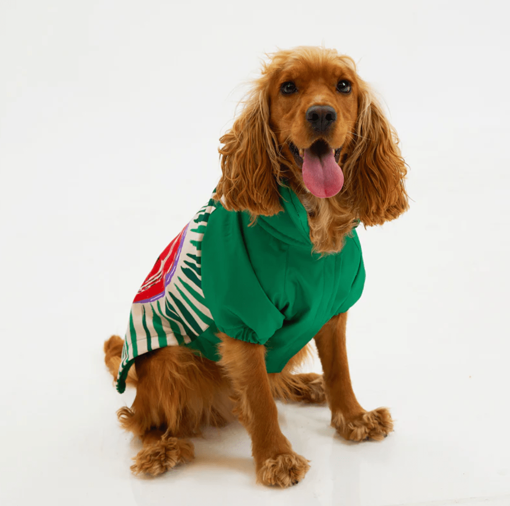 LoveShield Regenjacke - Dulces Mascotas BCN