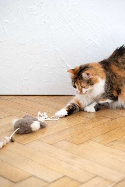 Natural Sheepskin Cat Toy: Squid - Dulces Mascotas BCN