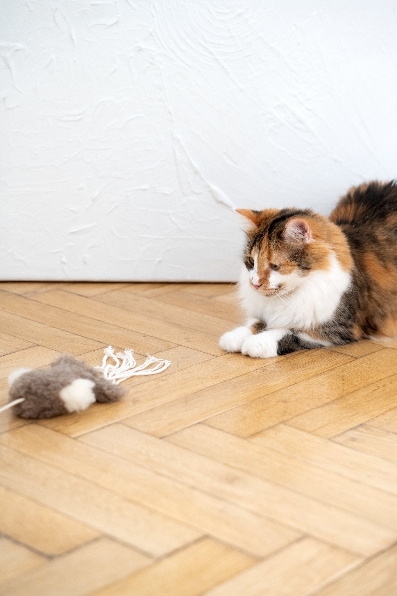 Natural Sheepskin Cat Toy: Squid - Dulces Mascotas BCN