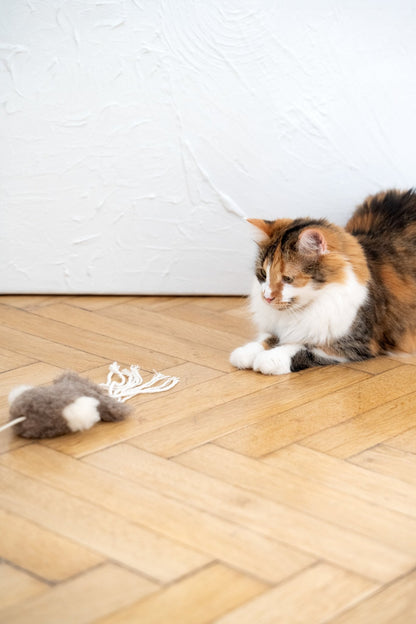 Natural Sheepskin Cat Toy: Squid - Dulces Mascotas BCN