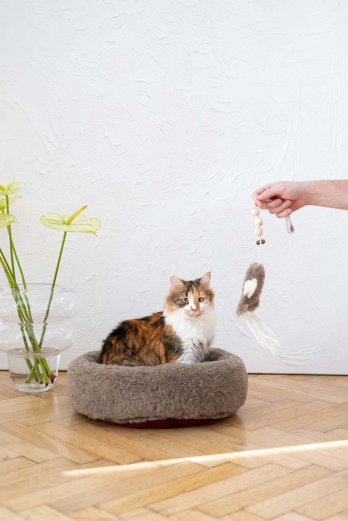 Natural Sheepskin Cat Toy: Squid - Dulces Mascotas BCN
