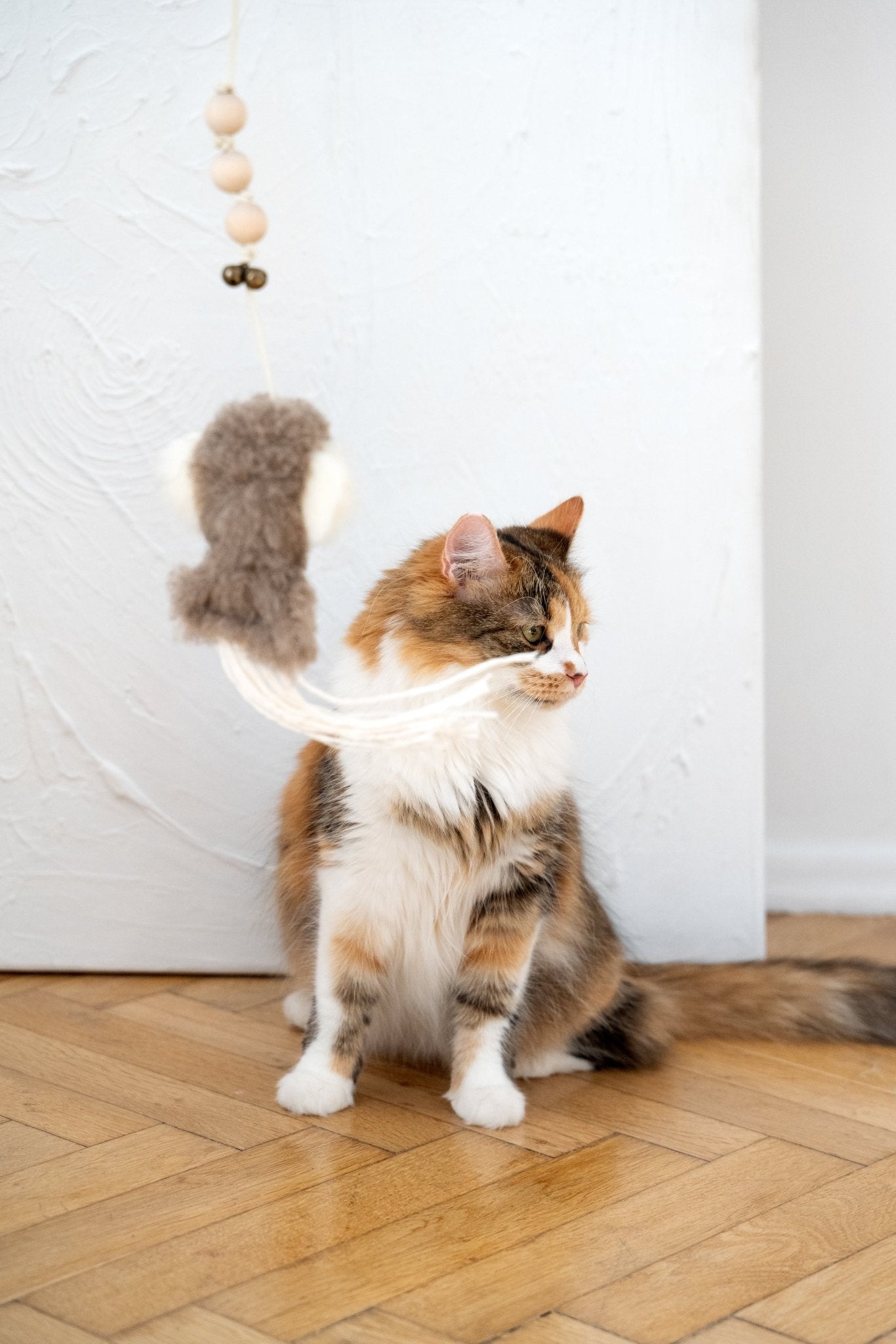 Natural Sheepskin Cat Toy: Squid - Dulces Mascotas BCN