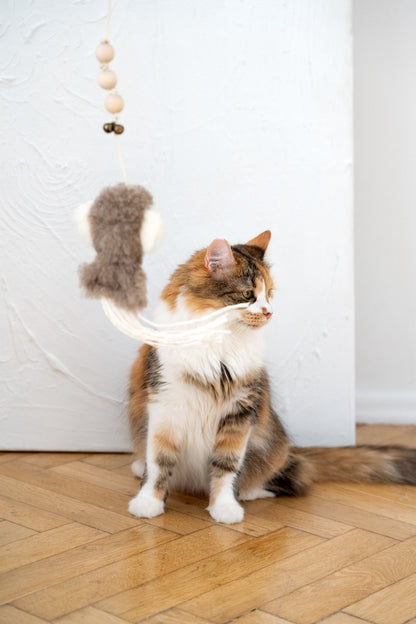 Natural Sheepskin Cat Toy: Squid - Dulces Mascotas BCN