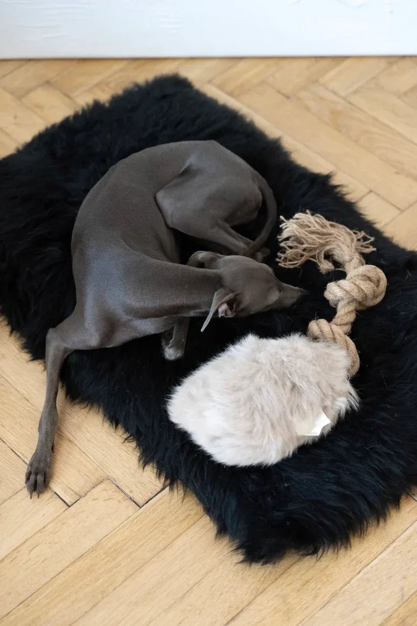 Natural Sheepskin Dog Tug Toy - Beige - Dulces Mascotas BCN