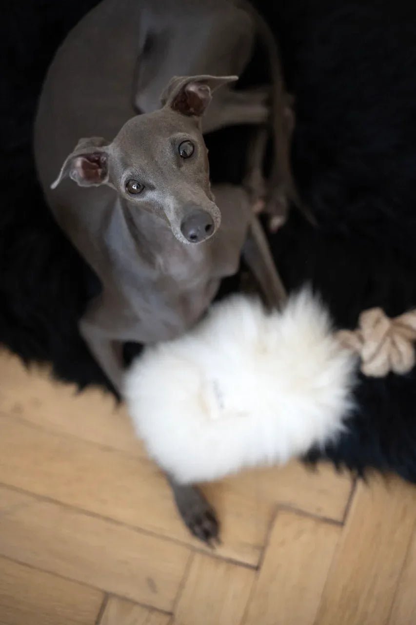 Natural Sheepskin Dog Tug Toy - White - Dulces Mascotas BCN