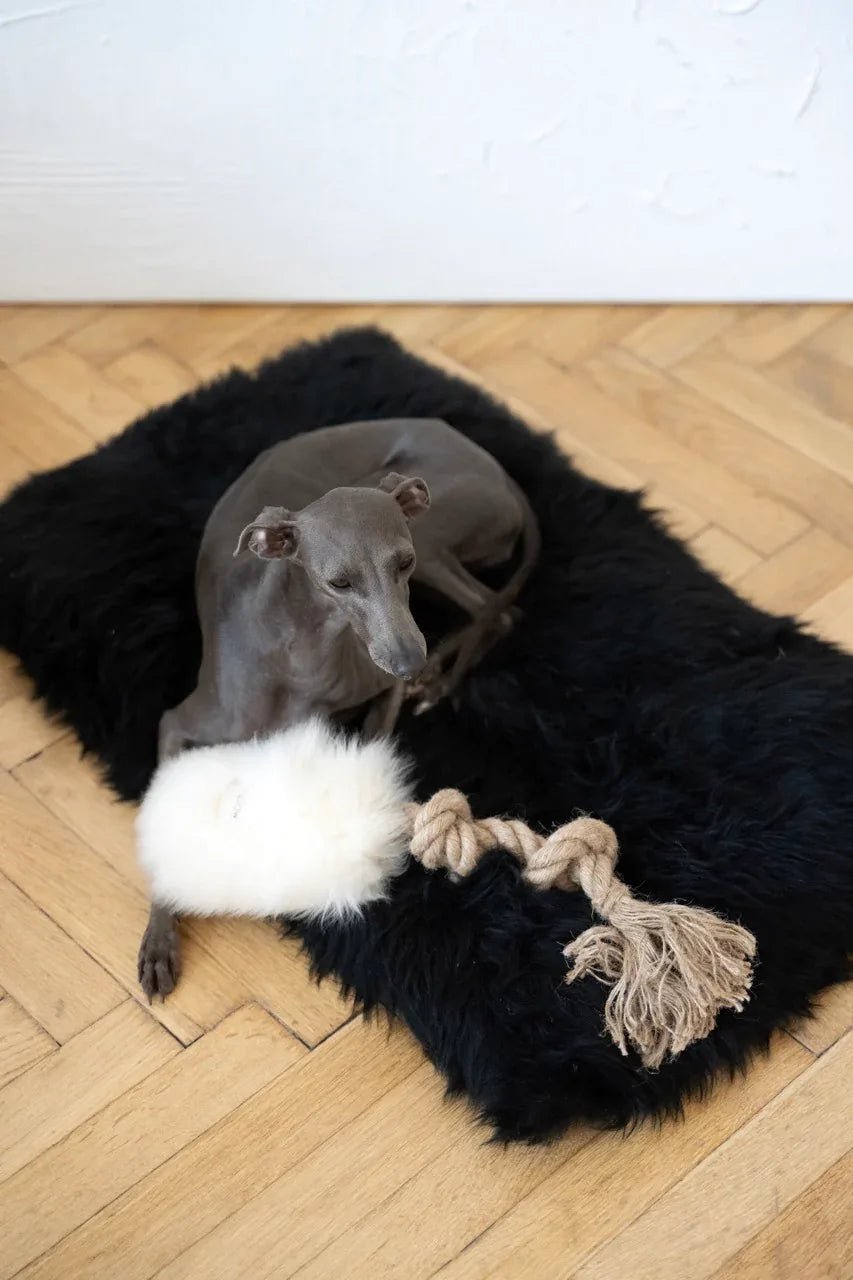 Natural Sheepskin Dog Tug Toy - White - Dulces Mascotas BCN