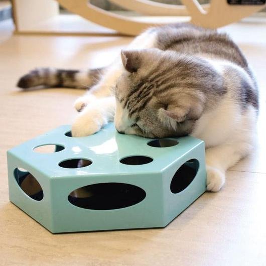 NEW! Magic Chaser Interactive Cat Toy - Dulces Mascotas BCN