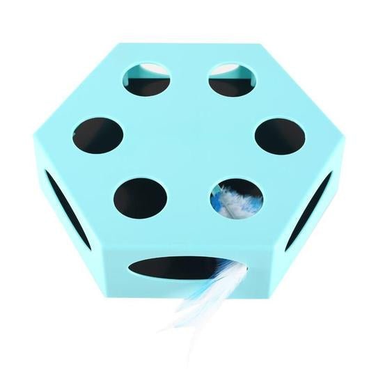 NEW! Magic Chaser Interactive Cat Toy - Dulces Mascotas BCN