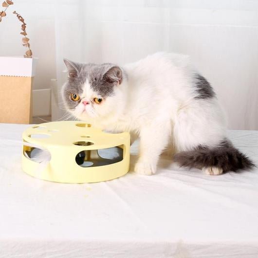 NEW! Magic Chaser Interactive Cat Toy - Dulces Mascotas BCN