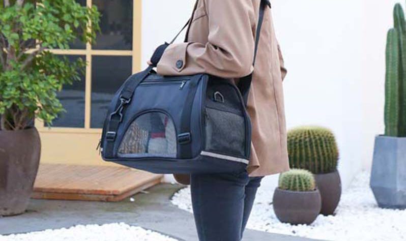 Pet carrier handbag - Dulces Mascotas BCN