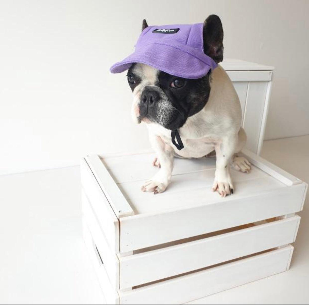 Pets Cap Purple - Dulces Mascotas BCN