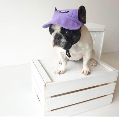 Pets Cap Purple - Dulces Mascotas BCN