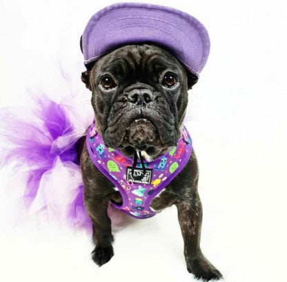 Pets Cap Purple - Dulces Mascotas BCN