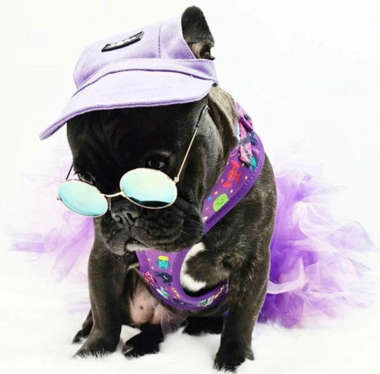 Pets Cap Purple - Dulces Mascotas BCN