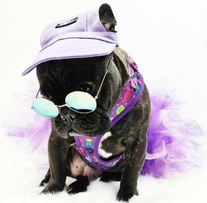 Pets Cap Purple - Dulces Mascotas BCN