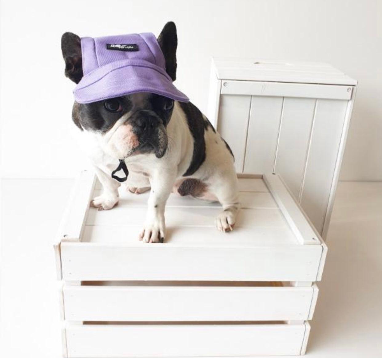 Pets Cap Purple - Dulces Mascotas BCN