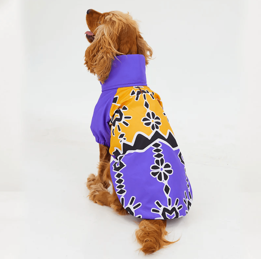 RainWoof Regenjacke - Dulces Mascotas BCN