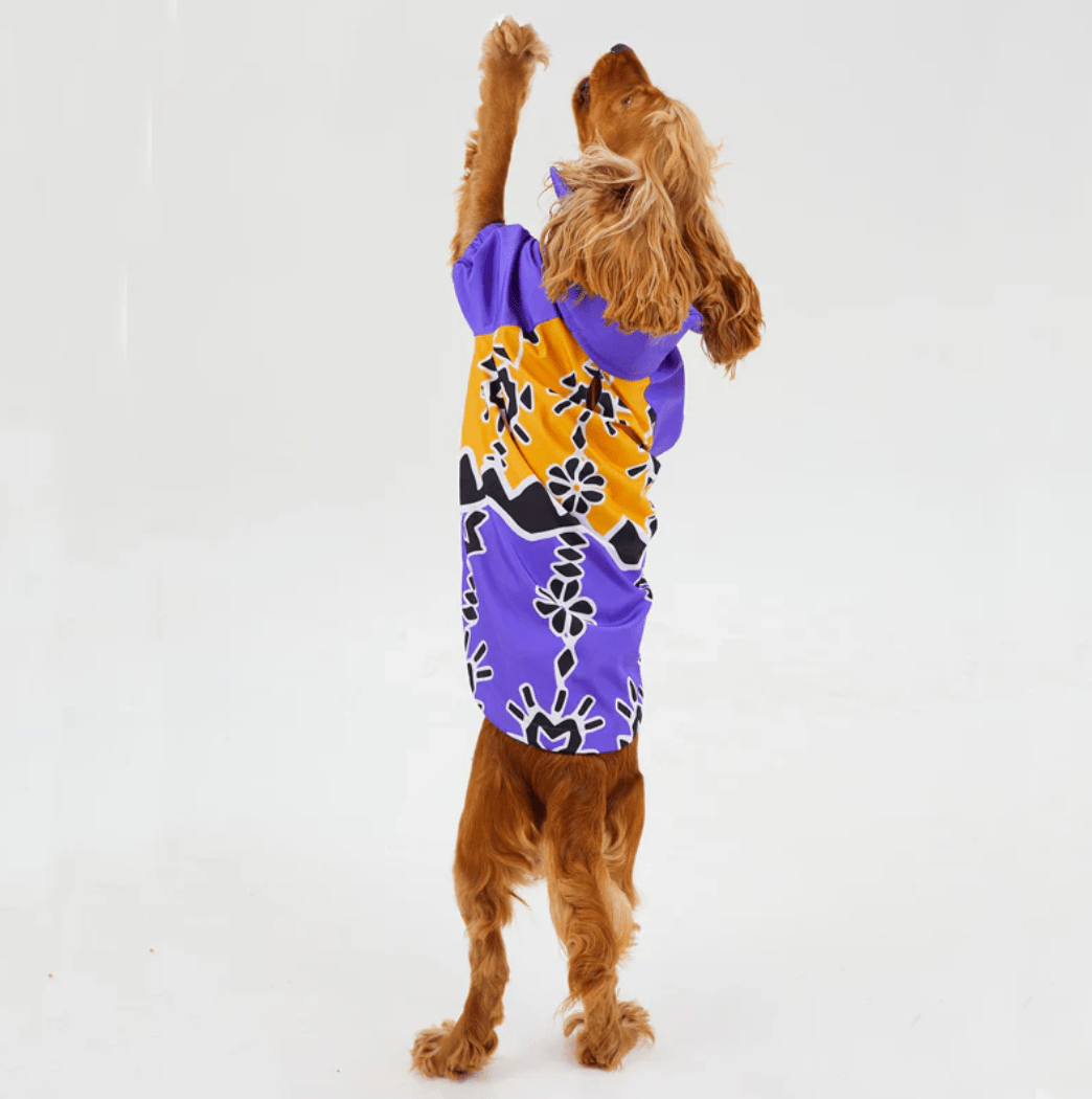 RainWoof Regenjacke - Dulces Mascotas BCN