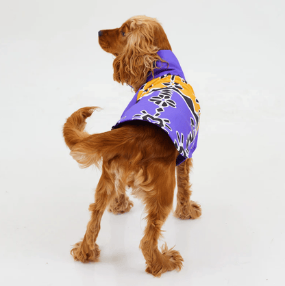 RainWoof Regenjacke - Dulces Mascotas BCN