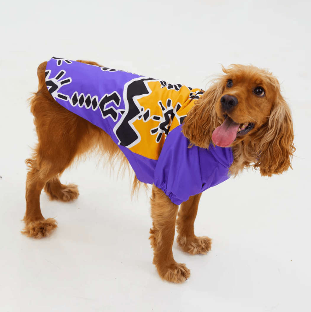 RainWoof Regenjacke - Dulces Mascotas BCN