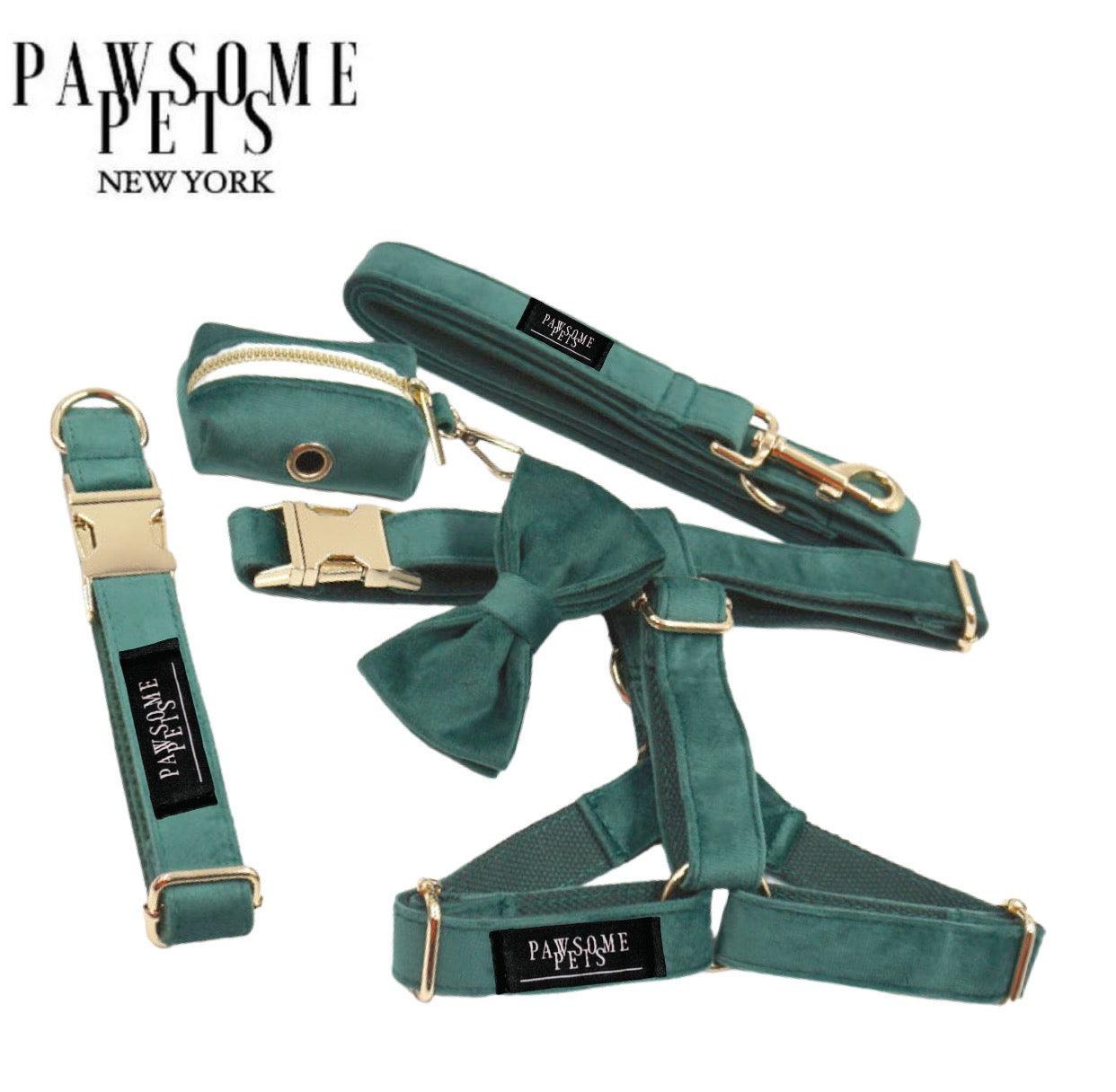 STEP IN BUNDLE - DARK GREEN (5 PIECES) - Dulces Mascotas BCN