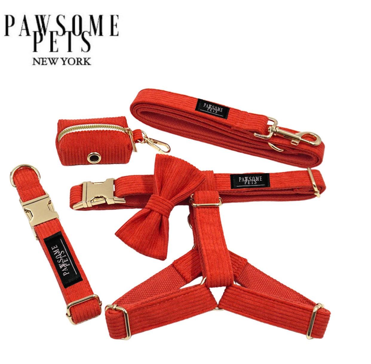 STEP IN BUNDLE - ORANGE RED (5 PIECES) - Dulces Mascotas BCN