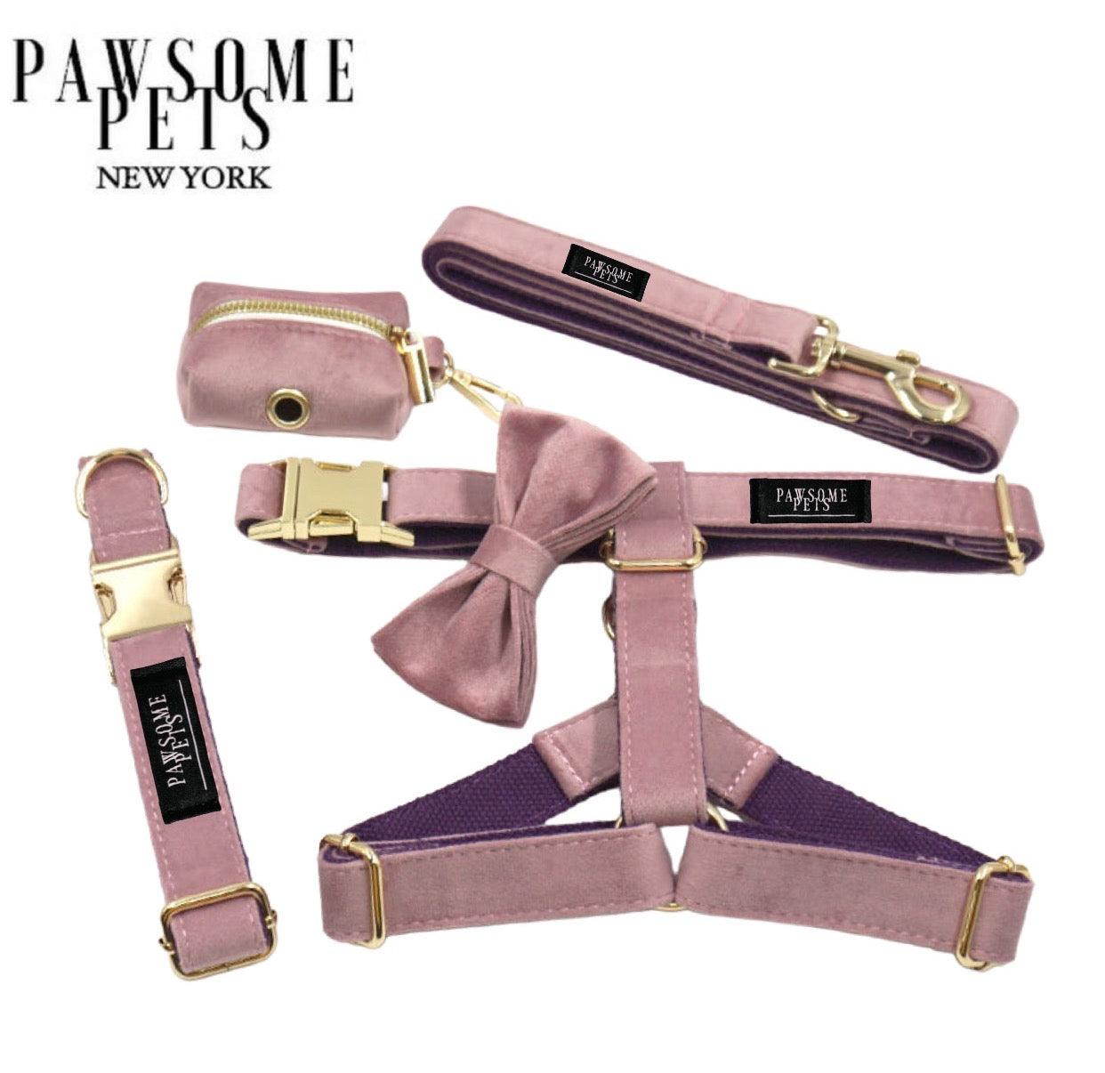 STEP IN BUNDLE - PINK (5 PIECES) - Dulces Mascotas BCN