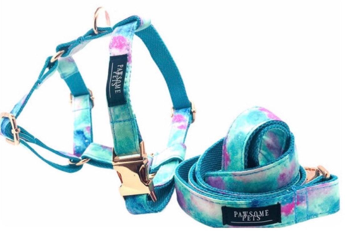 STEP IN BUNDLE - SKY (2 PIECES) - Dulces Mascotas BCN