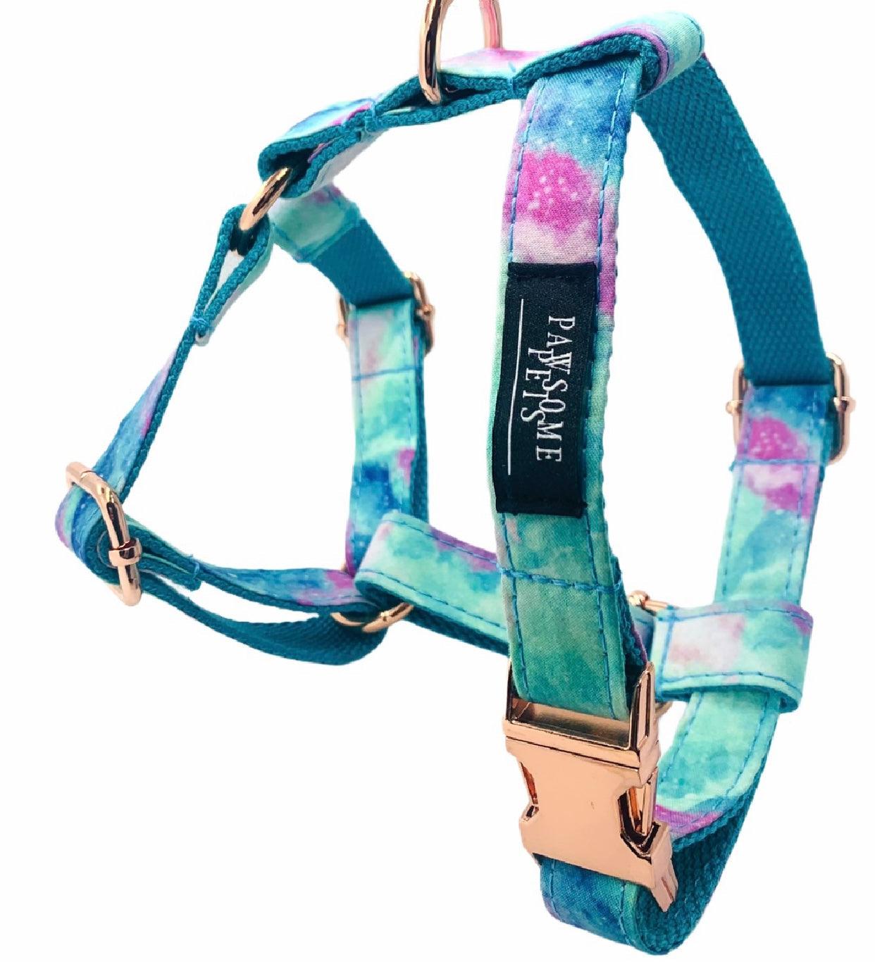 STEP IN BUNDLE - SKY (2 PIECES) - Dulces Mascotas BCN