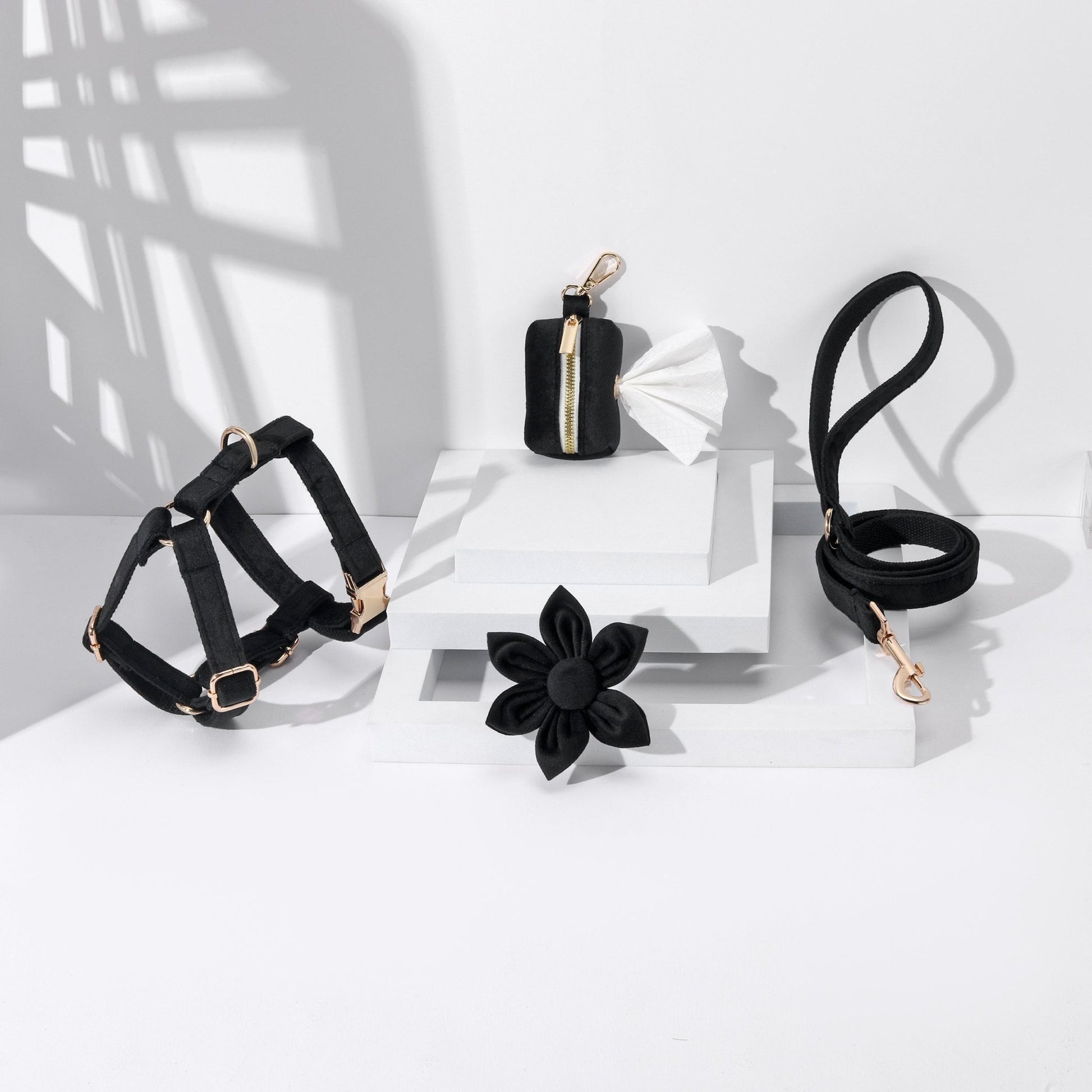 STEP IN FLORAL BUNDLE - BLACK (4 pieces) - Dulces Mascotas BCN