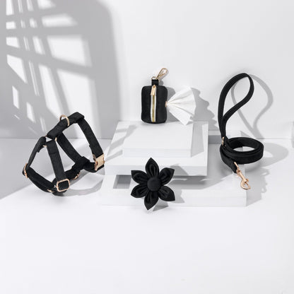 STEP IN FLORAL BUNDLE - BLACK (4 pieces) - Dulces Mascotas BCN