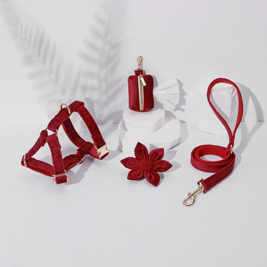 STEP IN FLORAL BUNDLE - BURGUNDY(4 pieces) - Dulces Mascotas BCN