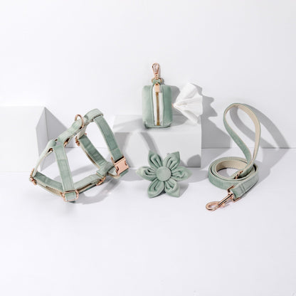 STEP IN FLORAL BUNDLE - LIGHT MINT GREEN (4 pieces) - Dulces Mascotas BCN