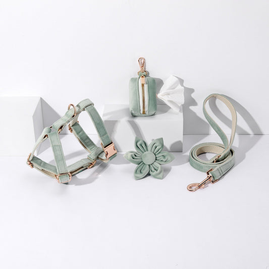 STEP IN FLORAL BUNDLE - LIGHT MINT GREEN (4 pieces) - Dulces Mascotas BCN