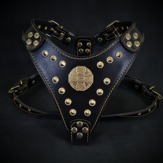 The ''Maximus'' harness Black & Gold Small to Medium Size - Dulces Mascotas BCN