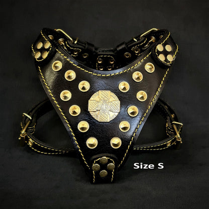 The ''Maximus'' harness Black & Gold Small to Medium Size - Dulces Mascotas BCN