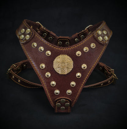 The ''Maximus'' harness Brown & Gold Small to Medium Size - Dulces Mascotas BCN