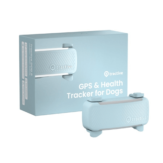 Tractive GPS DOG 6 Localizador GPS Inteligente para Perros - Menta - Dulces Mascotas BCN